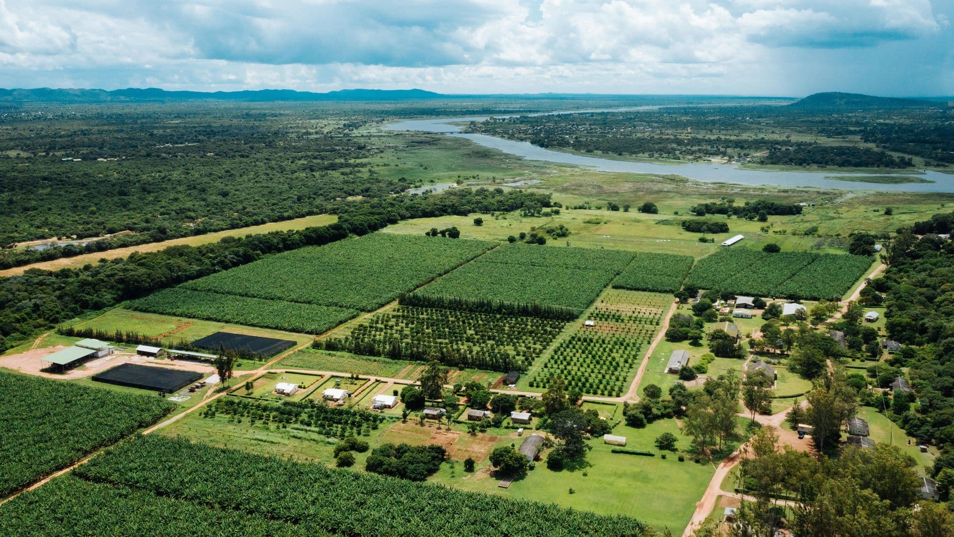 Riverside Farm Land in Orange Walk
