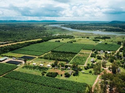Riverside Farm Land in Orange Walk