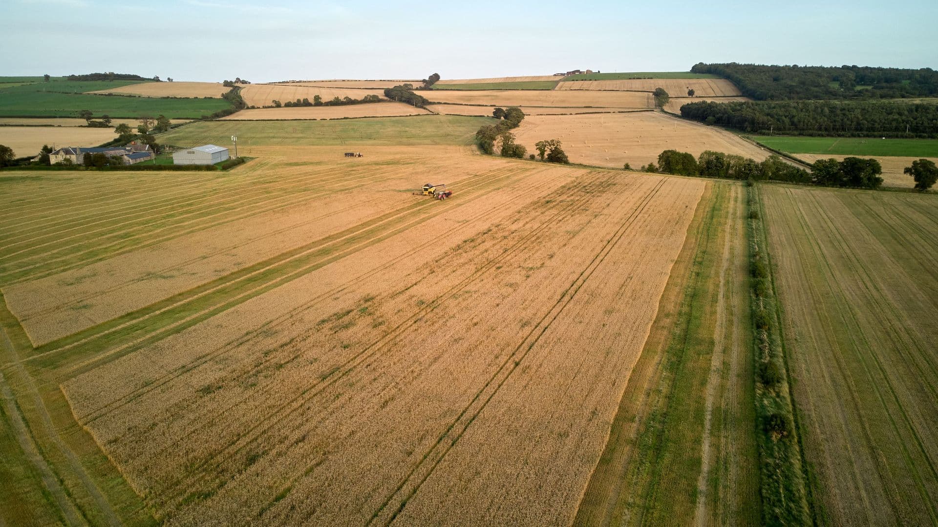 Farm Land Parcel in Toledo District