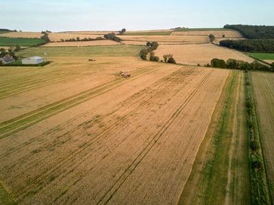 Farm Land Parcel in Toledo District